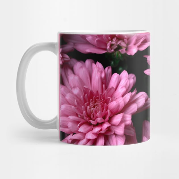 DAHLIA by Art by Eric William.s